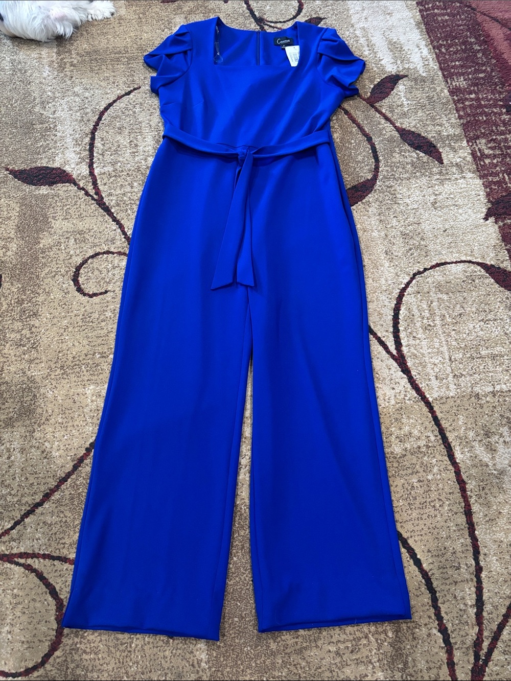 connected apparel Royal Blue Wide-Leg Belted Jumpsuit